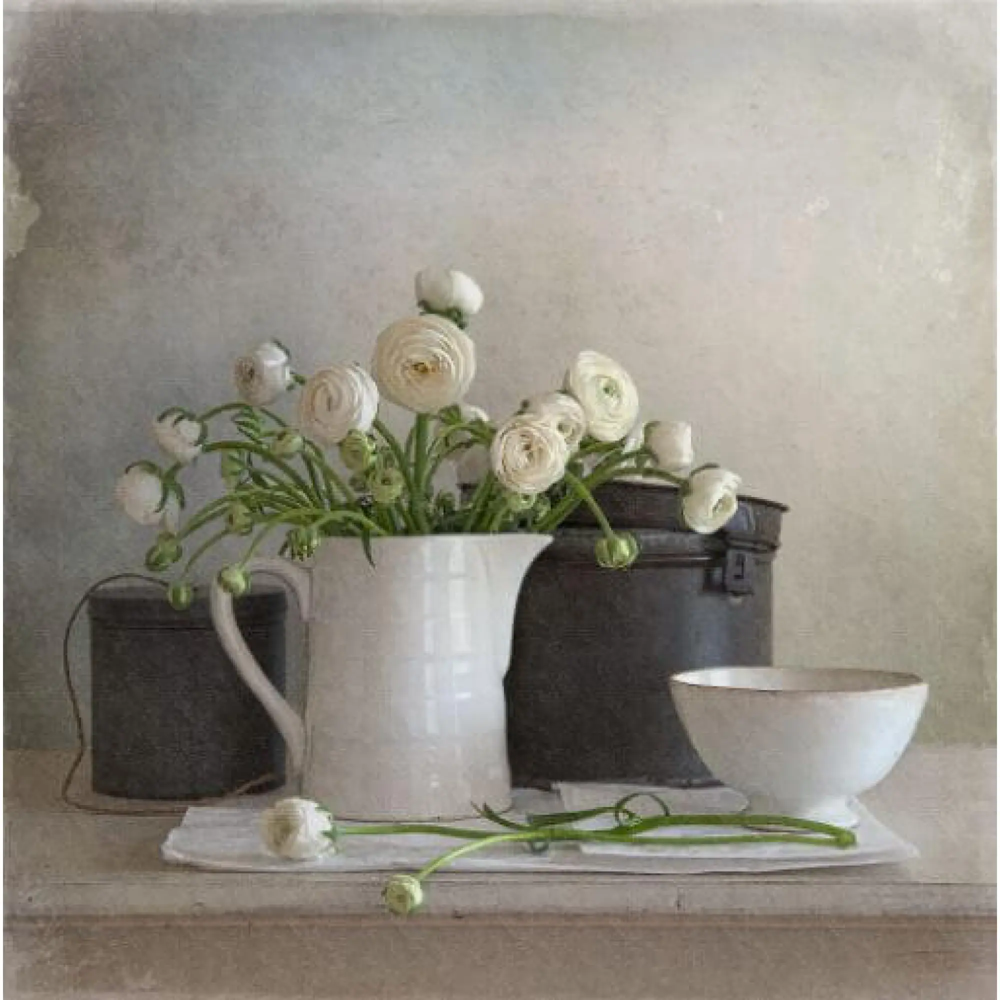 Ranunculus